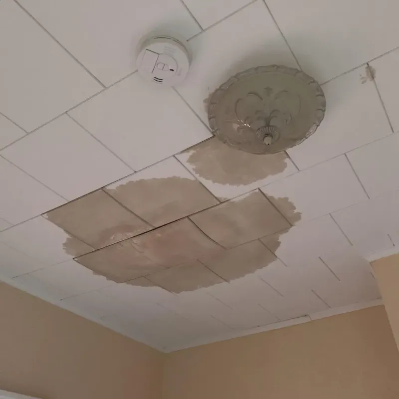 Ceiling Water Damage Repair in Bayport, MN